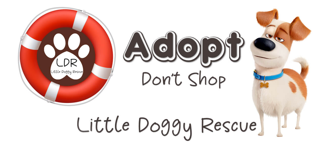 Adopt don't shop logo for Little Doggy Rescue