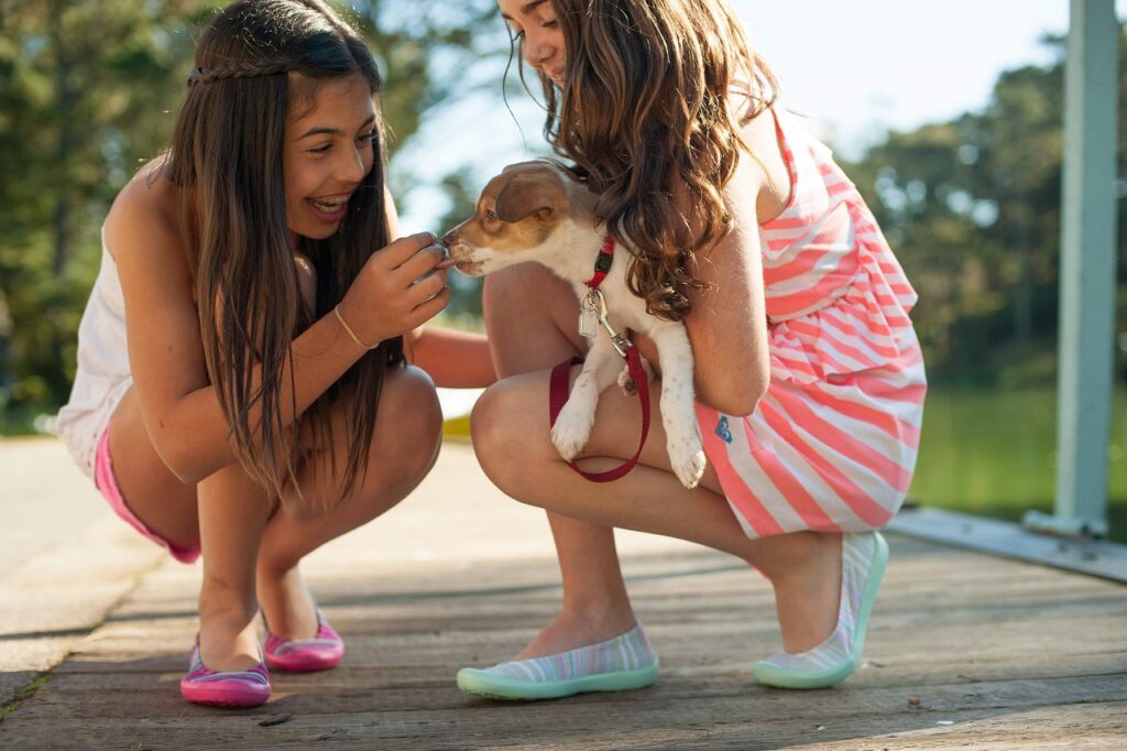 Adopt a small dog inquiry form, complete the form so that you can be happy and be like these two young girls playing with their newly adopted small dog