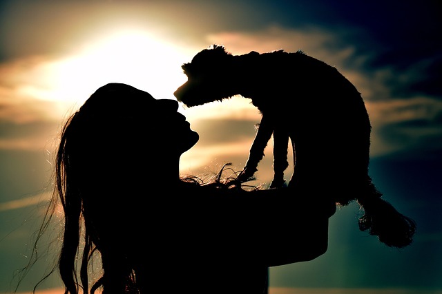 A woman holds a small dog close, looking sad yet hopeful. She is about to entrust her furry friend to a new home that can provide better care and love. She gives him a parting kiss goodbye.