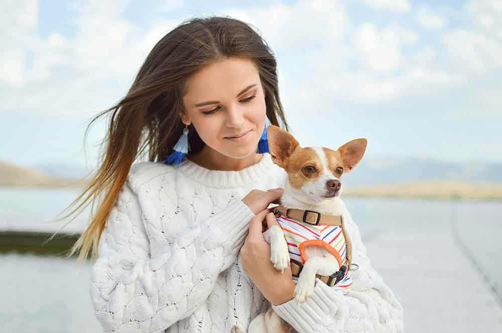 A smiling pet owner holding their small dog, who found a new home through Little Doggy Rescue, a service that offers home-to-home adoptions without cages or kennels. Excellent small dog rehoming and adoptions. Adopt a small dog.
